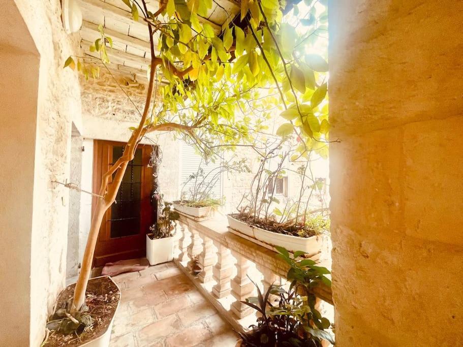 Evasion Urbaine**** Apartment Nimes Bagian luar foto